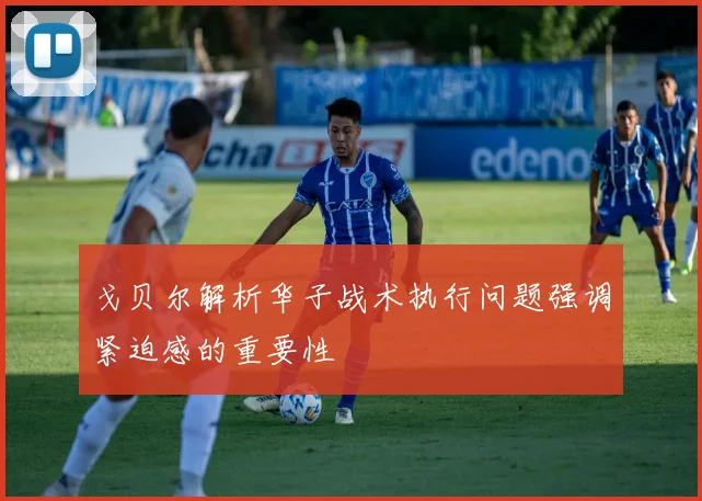 戈贝尔解析华子战术执行问题强调紧迫感的重要性